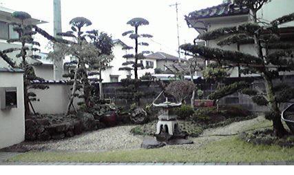 我が家の日本庭園！